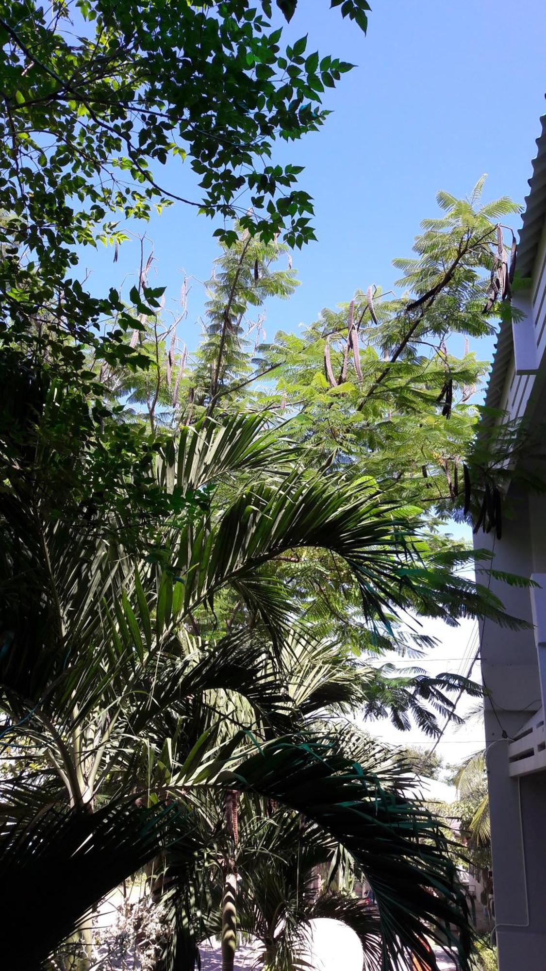 Addera Residence Hua Hin Buitenkant foto