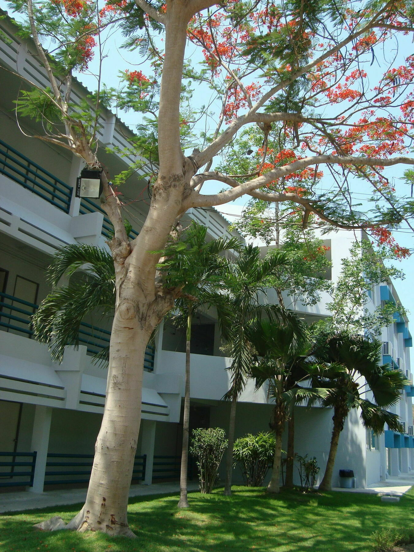 Addera Residence Hua Hin Buitenkant foto